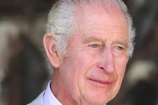 Re Carlo riprende gli impegni pubblici dopo 3 mesi: oggi la visita a un centro oncologico 18