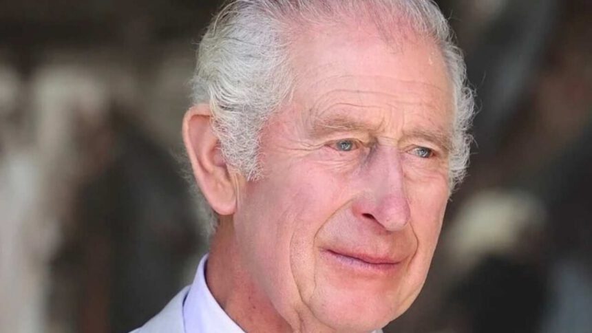 Re Carlo riprende gli impegni pubblici dopo 3 mesi: oggi la visita a un centro oncologico 1