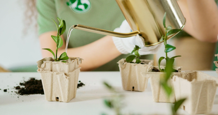 Ridurre l'impatto ambientale: soluzioni pratiche 7