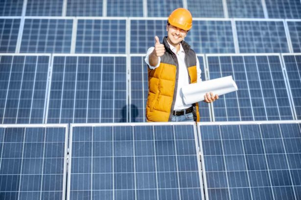 Record fotovoltaico in Italia: il 36% dell'energia rinnovabile che alimenta il Belpaese è solare 16