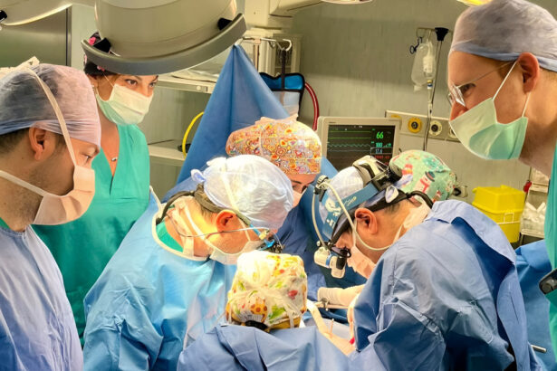 Record di trapianti e donazioni nel 2024: "Tantissime vite salvate" 16