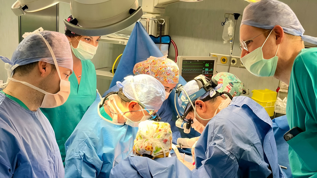 Record di trapianti e donazioni nel 2024: "Tantissime vite salvate" 15