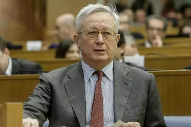 Redditi dei deputati italiani: quanto dichiarato risulta sempre veritiero? 6