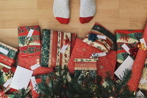 Quanto spendono gli italiani per Natale e quali sono i regali più cari? 7