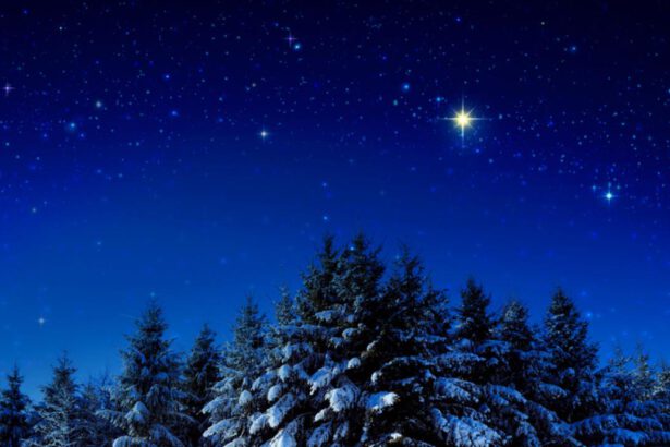 In cerca del regalo perfetto: hai mai pensato di regalare una stella? 11