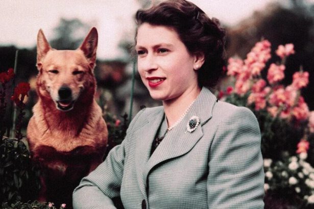Com'era la Regina Elisabetta da adolescente? Ce lo racconta l'amica d'infanzia 14