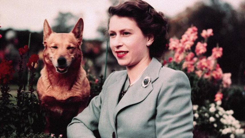 Com'era la Regina Elisabetta da adolescente? Ce lo racconta l'amica d'infanzia 1