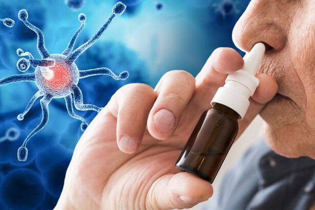 Alzheimer, secondo uno studio italiano si può combattere con uno spray nasale 17