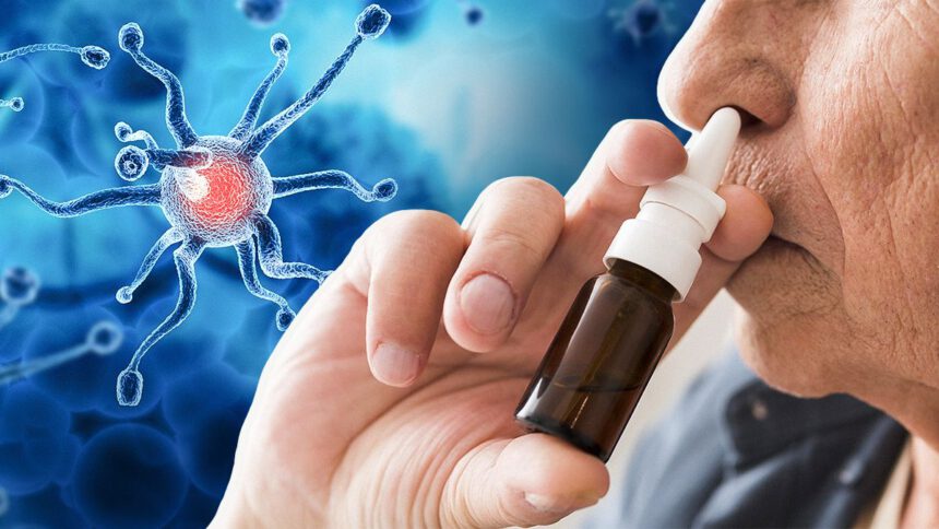 Alzheimer, secondo uno studio italiano si può combattere con uno spray nasale 2 Alzheimer, secondo uno studio italiano si può combattere con uno spray nasale 1