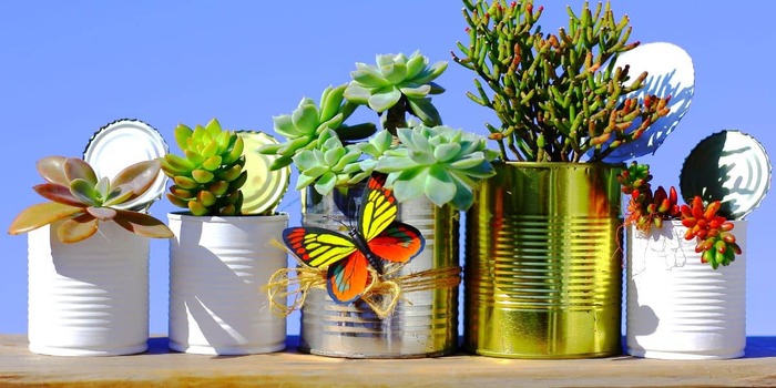 Come il riciclaggio può migliorare la tua vita 3