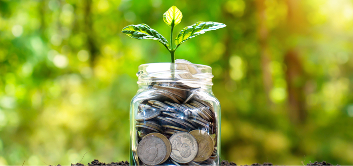 Come il riciclaggio può migliorare la tua vita 5