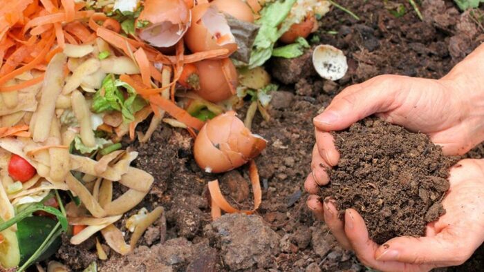 Come ridurre i rifiuti alimentari in cucina: 7 consigli 8 Come ridurre i rifiuti alimentari in cucina: 7 consigli 7