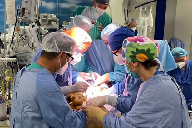 Anna, operata a cuore fermo per un tumore: “Non fate come me che per due anni non ho fatto controlli” 19