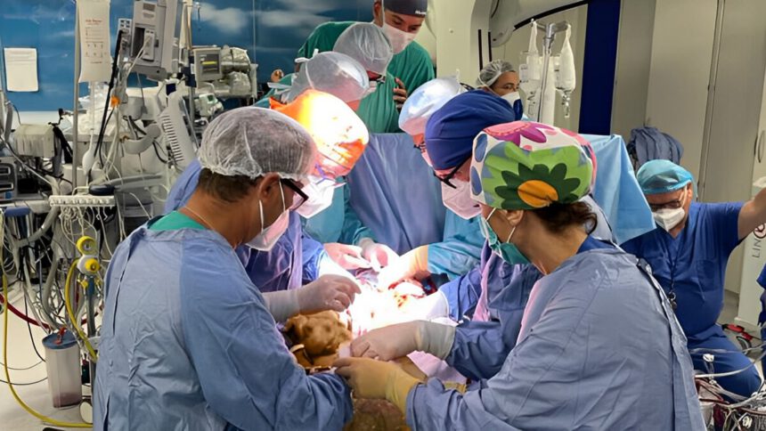 Anna, operata a cuore fermo per un tumore: “Non fate come me che per due anni non ho fatto controlli” 2 Anna, operata a cuore fermo per un tumore: “Non fate come me che per due anni non ho fatto controlli” 1