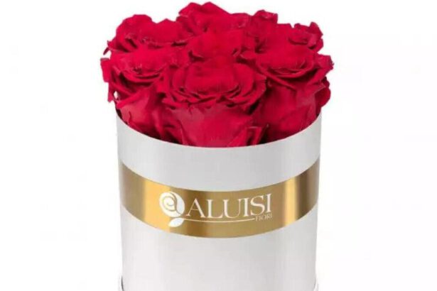 Le rose stabilizzate: una bellezza senza tempo 11