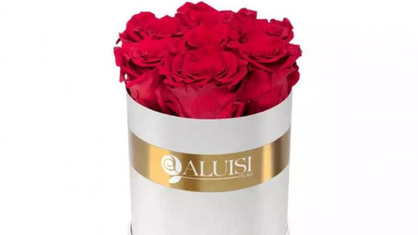 Le rose stabilizzate: una bellezza senza tempo 2 Le rose stabilizzate: una bellezza senza tempo 1