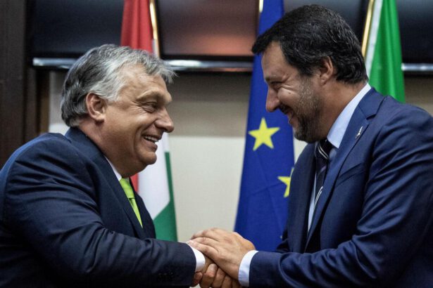 Salvini elogia il modello ungherese sulla famiglia, il Pd: “Orbán nega i diritti alle donne” 14