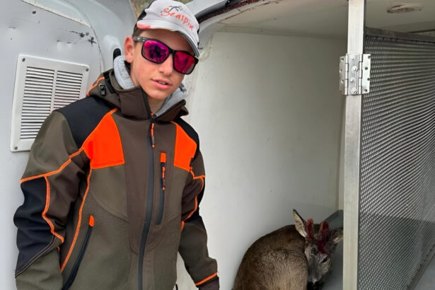 Samuel Massa, il 14enne salva capriolo ferito in mare: "Ho tolto i calzini e mi sono subito tuffato" 19