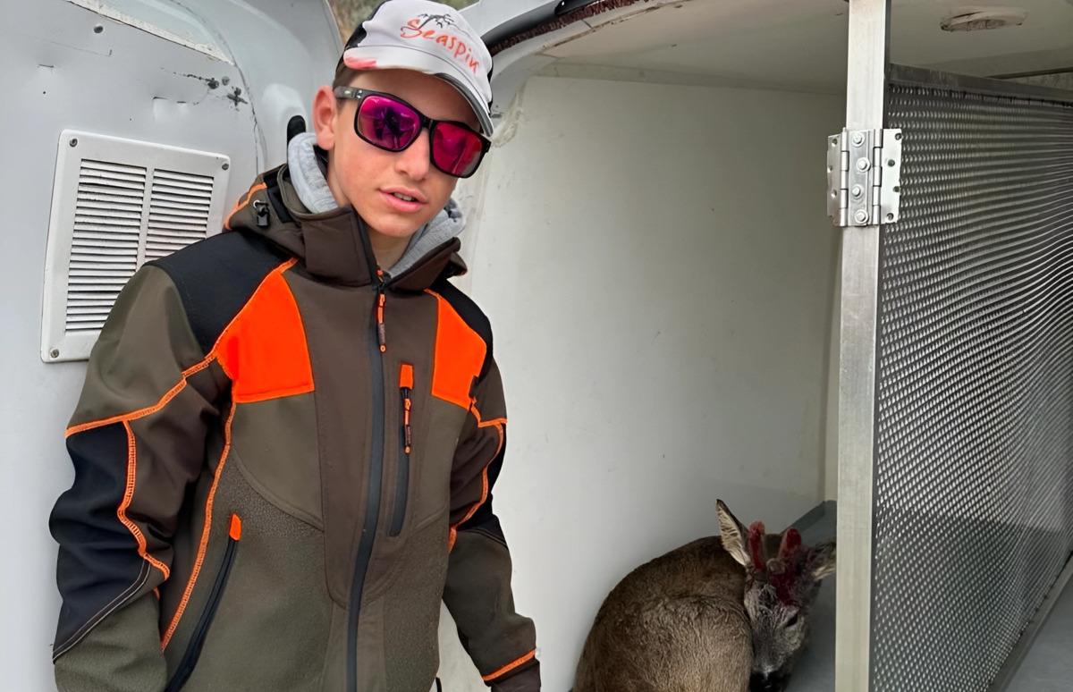 Samuel Massa, il 14enne salva capriolo ferito in mare: "Ho tolto i calzini e mi sono subito tuffato" 17