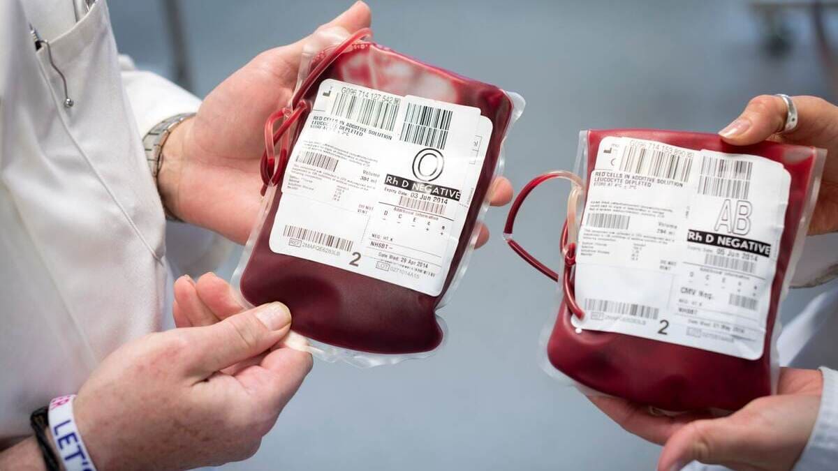 Regno Unito, prima trasfusione al mondo di sangue artificiale su esseri umani 17