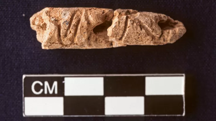 Scoperto in Siria il più antico alfabeto, cosa cambierà nel mondo della scrittura? 4 Scoperto in Siria il più antico alfabeto, cosa cambierà nel mondo della scrittura? 3