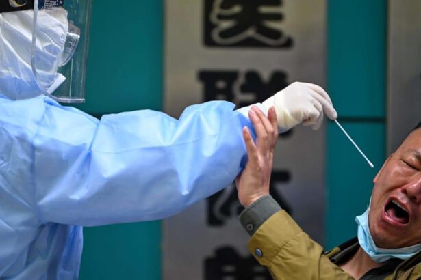 Shanghai: la vera dittatura sanitaria che l'Italia non ha mai avuto 5