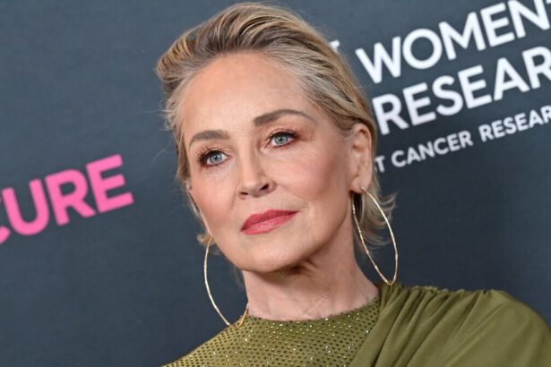 Sharon Stone, vittima della crisi bancaria in Silicon Valley: “Ho perso metà dei miei soldi” 14