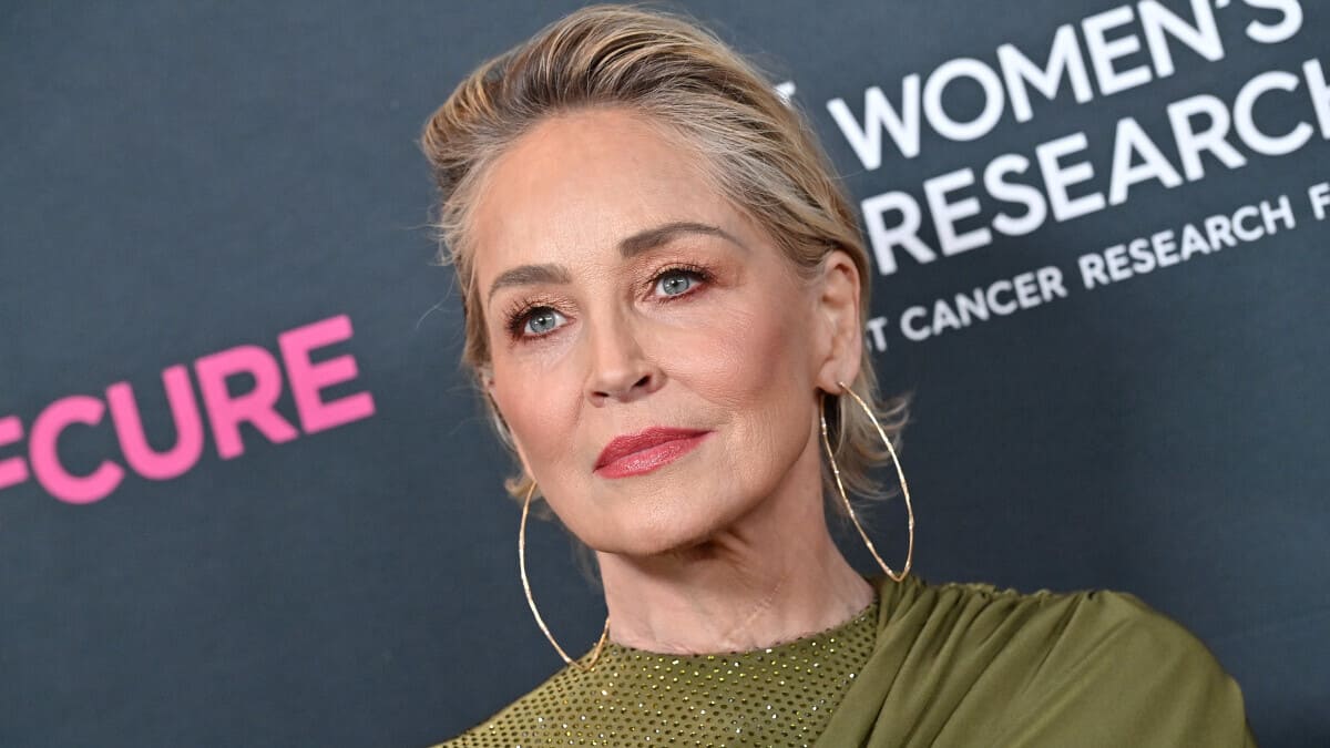 Sharon Stone, vittima della crisi bancaria in Silicon Valley: “Ho perso metà dei miei soldi” 15