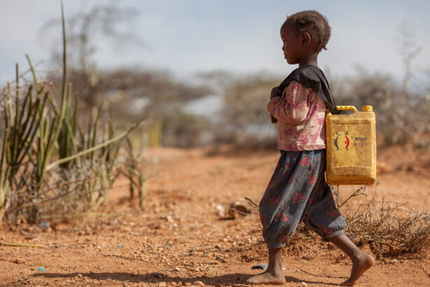 Cristalli estraggono acqua dall'aria: un nuovo studio può risolvere la siccità 17