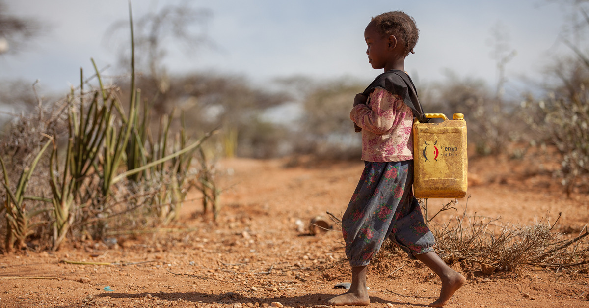 Cristalli estraggono acqua dall'aria: un nuovo studio può risolvere la siccità 19
