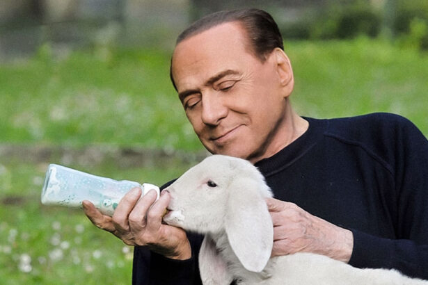 No, non era un santo, ma era un Cavaliere: l'ultimo saluto a una "persona gentile" 9