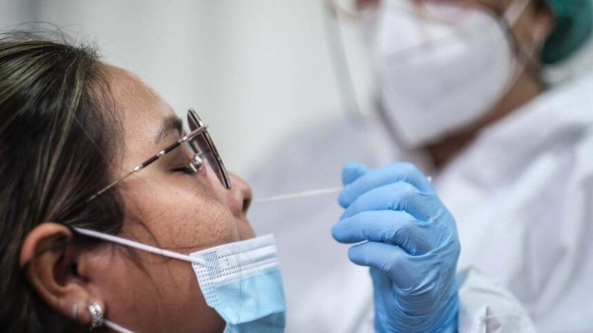 Come riconoscere i sintomi delle nuove varianti Covid Cerberus e Gryphon 1