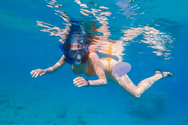 Meduse, 5 cose da fare e non fare in caso di puntura 11