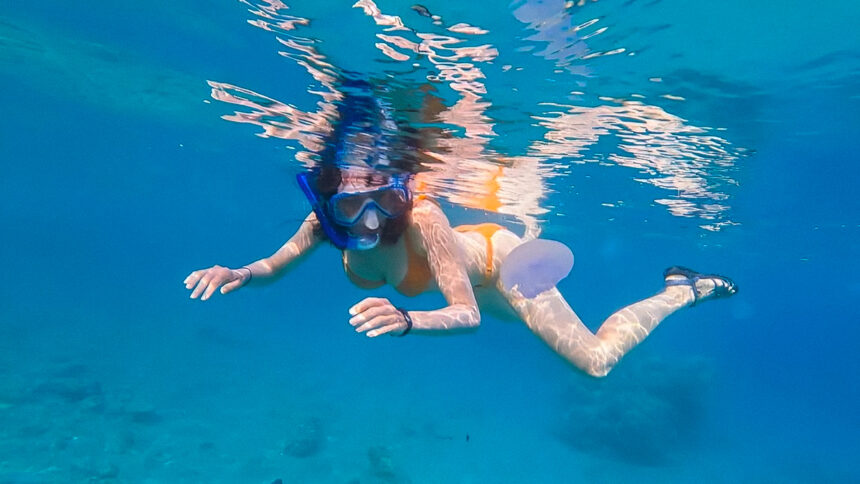 Meduse, 5 cose da fare e non fare in caso di puntura 1