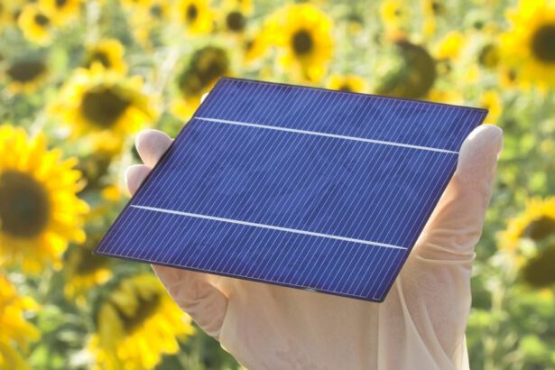 Celle solari sostenibili e riciclabili grazie all’acqua, lo studio 5