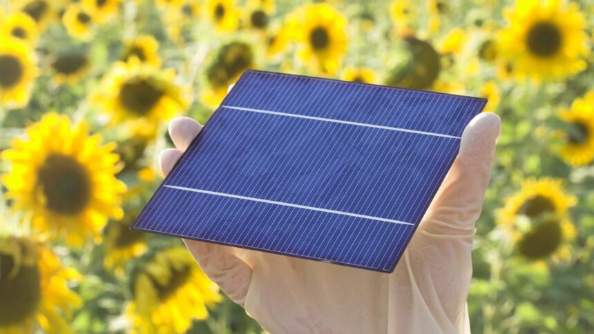 Celle solari sostenibili e riciclabili grazie all’acqua, lo studio 1