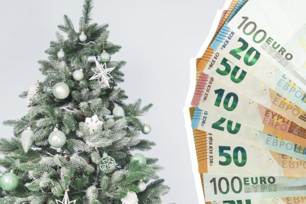 Bonus Natale, possibile aumento dei beneficiari. Giorgia Meloni: "Proviamoci" 13