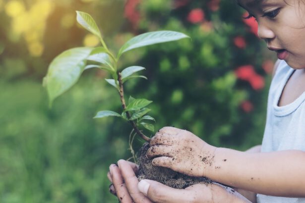 Le sfide della sostenibilità economica per gli enti no-profit 14