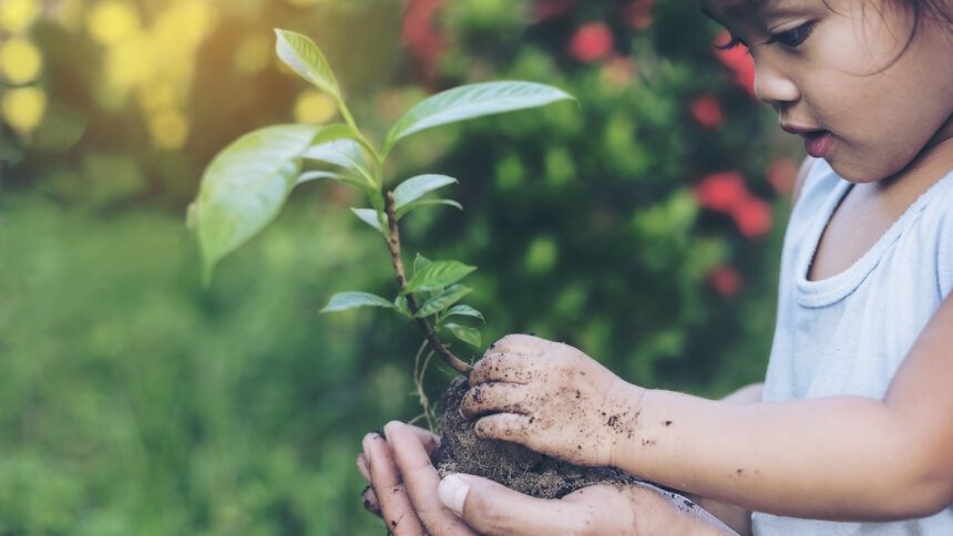 Le sfide della sostenibilità economica per gli enti no-profit 1