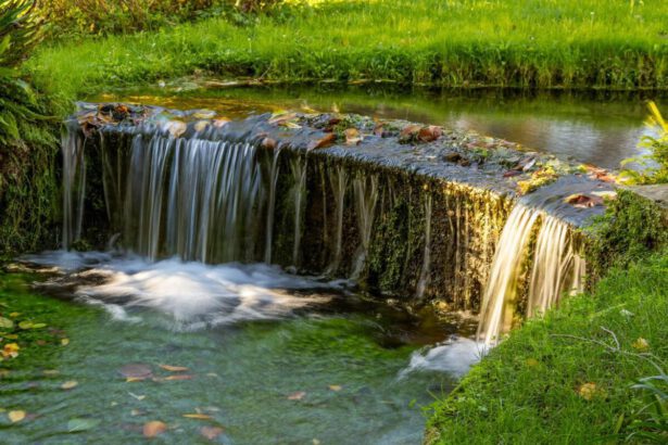 Non solo il Giardino di Ninfa, quali sono i 5 giardini d'incanto da visitare una volta nella vita? 18