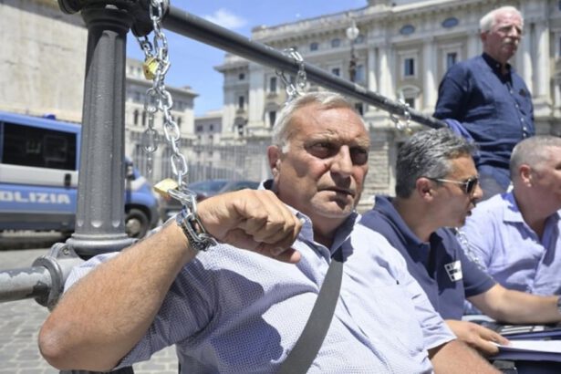 Proteste dei tassisti a Roma e Torino: cosa chiedono al Governo? 77
