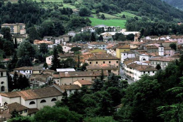 Terremoto oggi, scossa di 4.9 tra Toscana e Romagna: cosa dicono gli esperti? 11