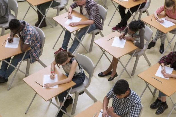 Test di Medicina 2024, oggi la seconda prova: quando inizia, punteggi e tutte le novità 10