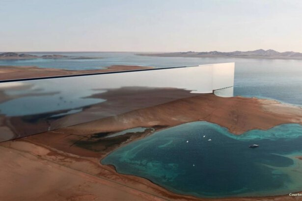 The Line, 170 km di città lineare e senza inquinamento 17