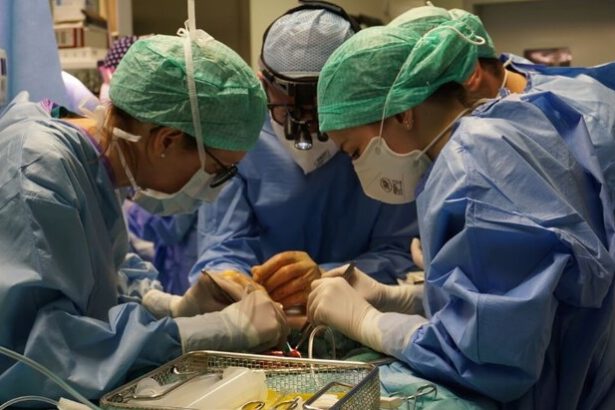 Bergamo, primo trapianto di polmone da vivente. Cos’è successo e quali sono i precedenti 65