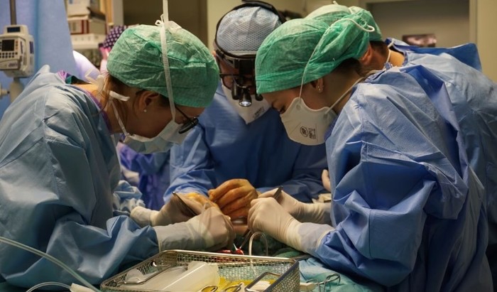 Bergamo, primo trapianto di polmone da vivente. Cos’è successo e quali sono i precedenti 1