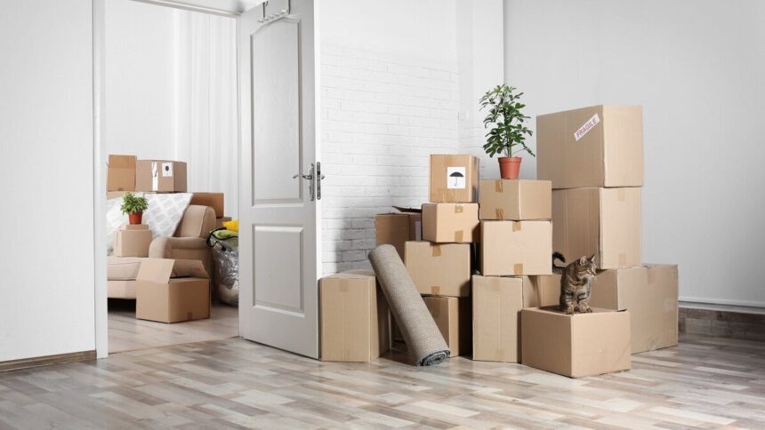 Sgombero Milano: affidarsi per liberarsi dall'ingombro 1