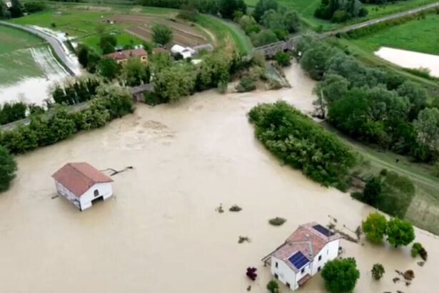 Cos'è la tropicalizzazione dell’Italia e cosa provoca. Musumeci: “Nulla sarà come prima” 12