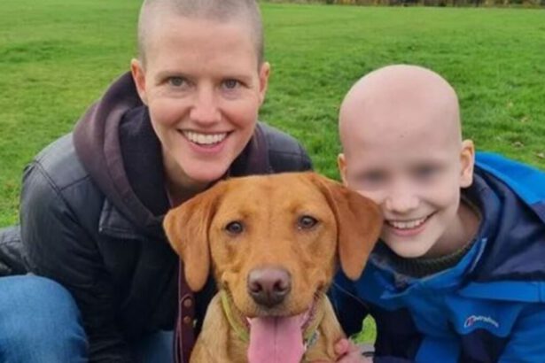 Cane "fiuta" tumore nella sua padroncina e le salva la vita: "Continuava ad annusarla" 10