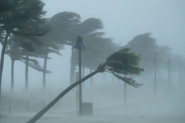 Uragano Danielle in posizione anomala nell'Atlantico: può colpire l'Europa? 5